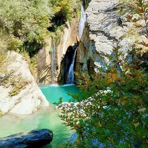 bogova